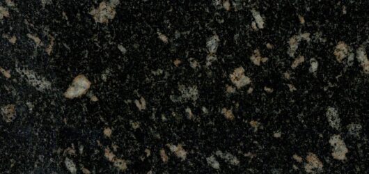 Black Aswan1